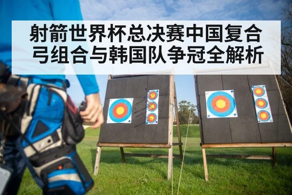 archery target precision